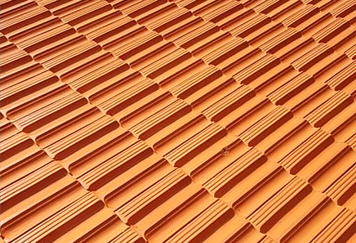 Dachreinigung / Dachbeschichtung