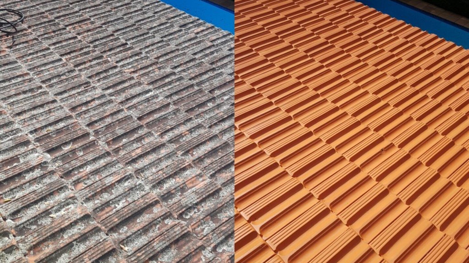 Dachreinigung und Dachbeschichtung