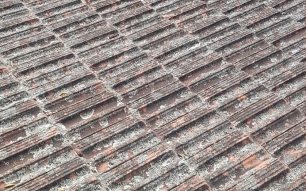 Vorher Fassade sichtbar geklärt