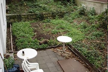 Vorher Mehr Struktur im Gartenbild
